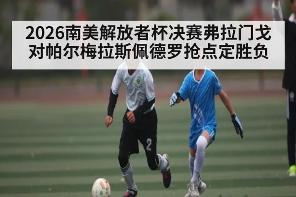 2026南美解放者杯决赛弗拉门戈对帕尔梅拉斯佩德罗抢点定胜负